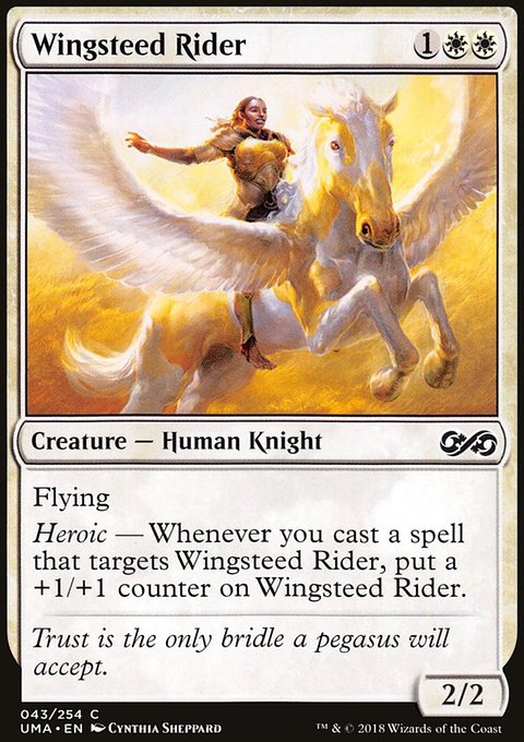 Wingsteed Rider