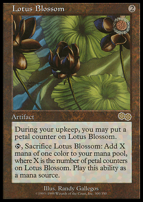 Lotus Blossom