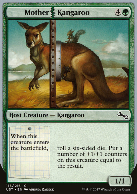 Mother Kangaroo