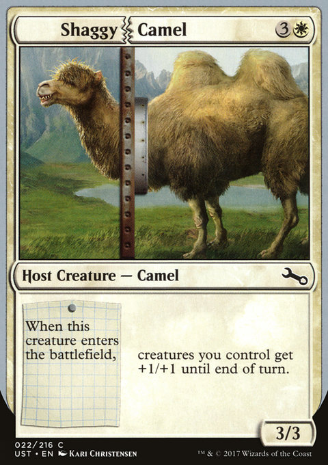 Shaggy Camel