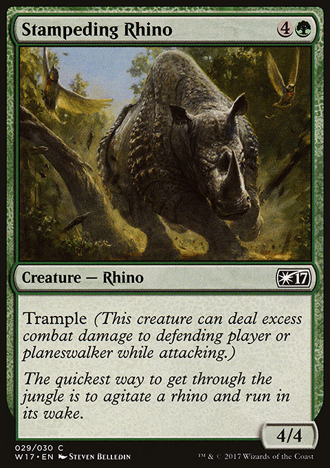 Stampeding Rhino